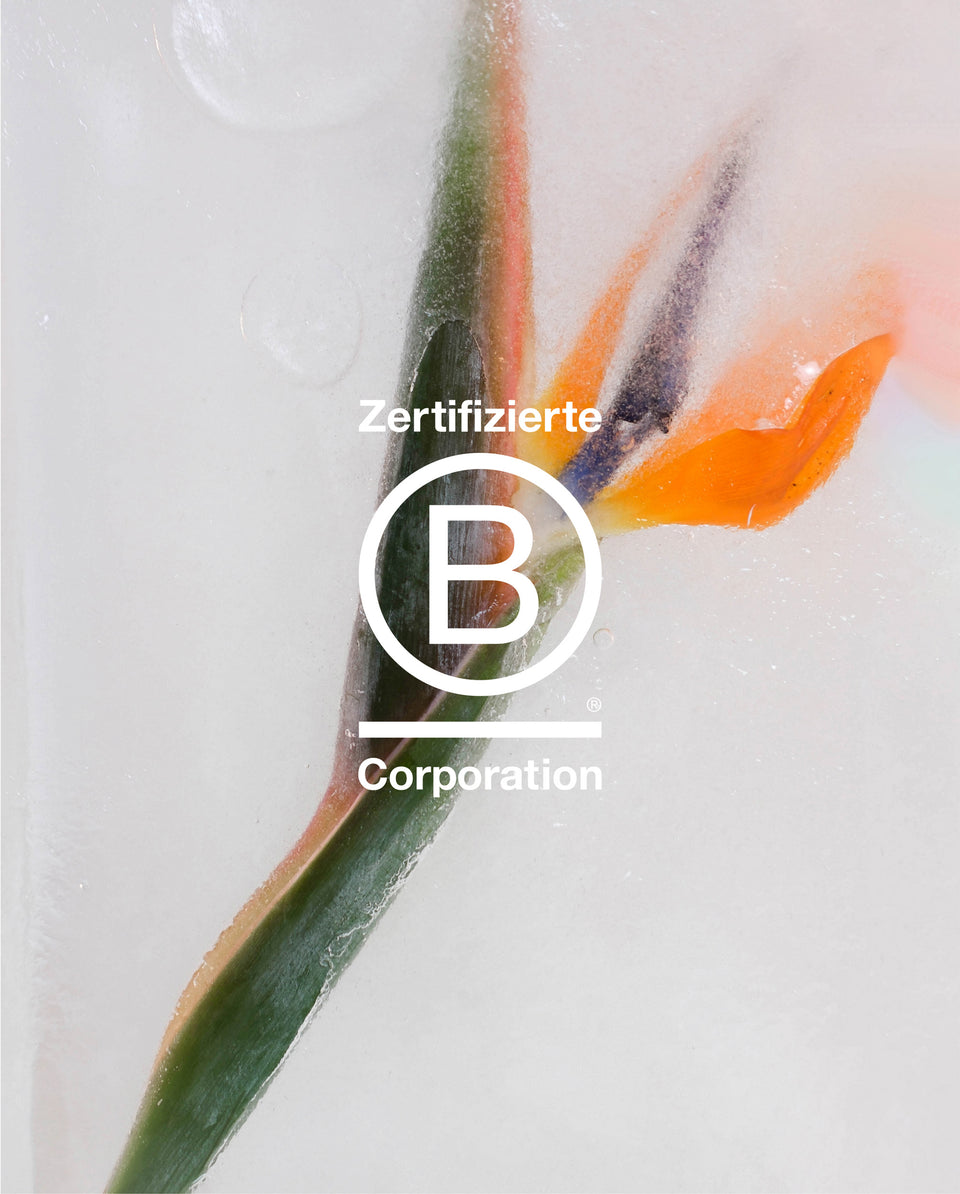 B certified corporation VEECollective